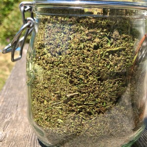 Chanvre CBD prêt à transformer