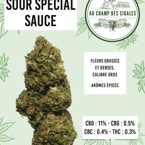 Sour Special Sauce