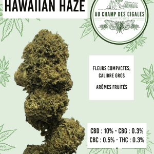 Hawaiian Haze